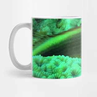 Freckled hawkfish Mug